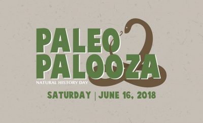 PaleoPalooza at the State Museum