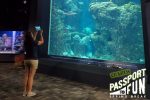 Virtual Passport to Fun: Spring Break with the Aquarium