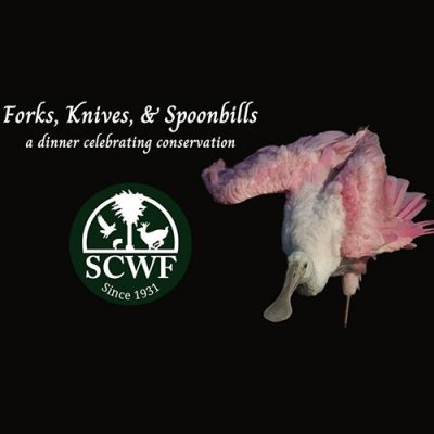 Forks, Knives, & Spoonbills Conservation Dinner at Spotted Salamander