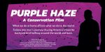 Gallery 1 - Purple Haze: A Conservation Film