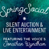 Leadership South Carolina Spring Social and Silent Auction